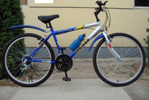 Suspension Mountain Bicycle for Adult